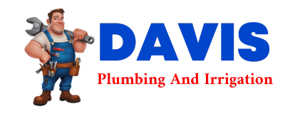 Trusted plumber in LOWNDESVILLE